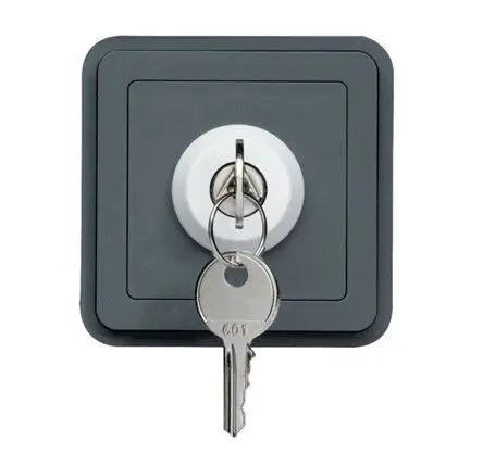 Produktfoto 1 von Hager cubyko Schlüsselschalter IP55