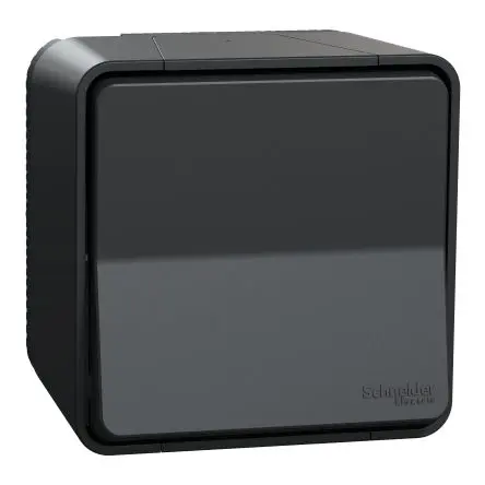 Schneider Electric Mureva Styl Lichtschalter SMD 250V