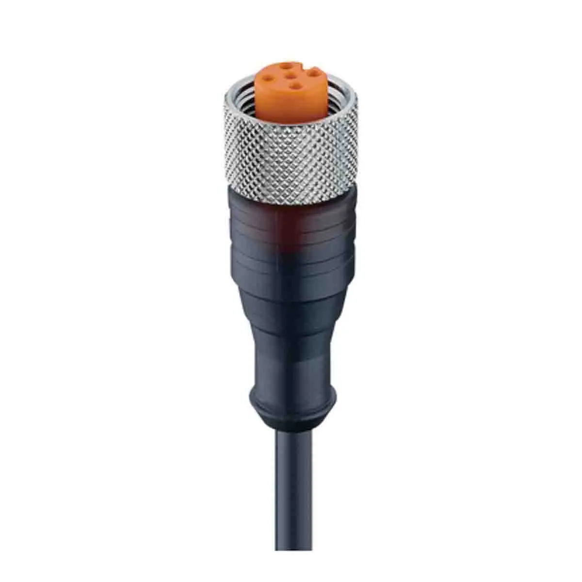 Produktfoto 1 von Lumberg M12, 5-polig Sensor-Betätigungselementkabel, Gerade Buchse / Freies Ende Nicht abgeschlossen