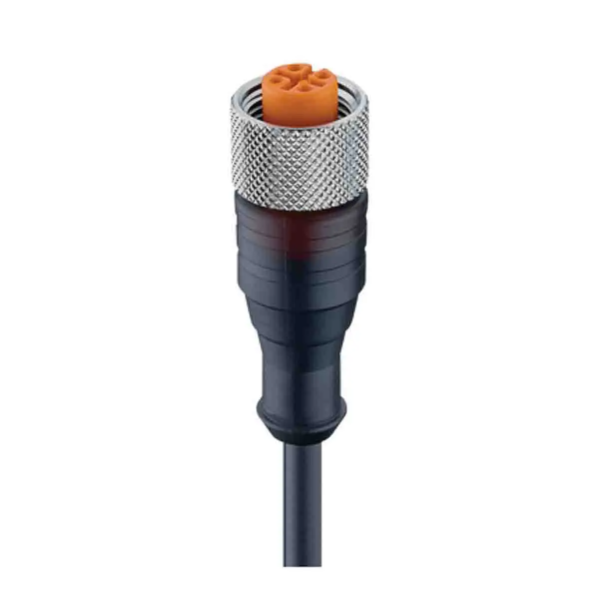 Lumberg RKT/LED A 4-3-224, 4-polig Sensor-Betätigungselementkabel, M12 Buchse / Freies Ende Nicht abgeschlossen