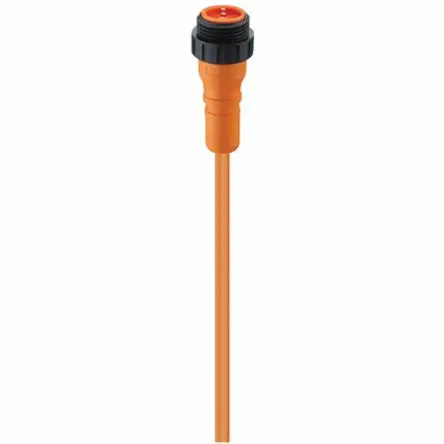 Lumberg RS 20-03, 2-polig Sensor-Betätigungselementkabel, 7/8 Zoll Rund, Gerade Stecker / Nicht abgeschlossen, Länge