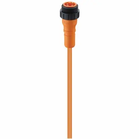 Produktfoto 1 von Lumberg RS 40-02, 24-polig Sensor-Betätigungselementkabel, 7/8 Zoll Rund, Gerade Stecker / Nicht abgeschlossen, Länge