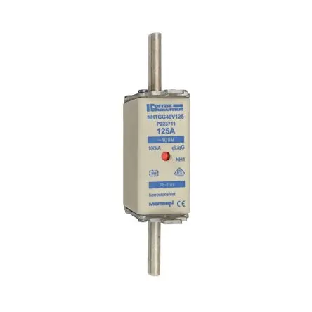 Produktfoto 1 von Mersen NH-Sicherung NH1 / 125A gG