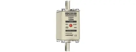 Produktfoto 1 von Mersen NH-Sicherung NH00 / 125A gG