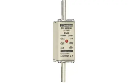 Produktfoto 1 von Mersen NH-Sicherung NH1 / 80A gG