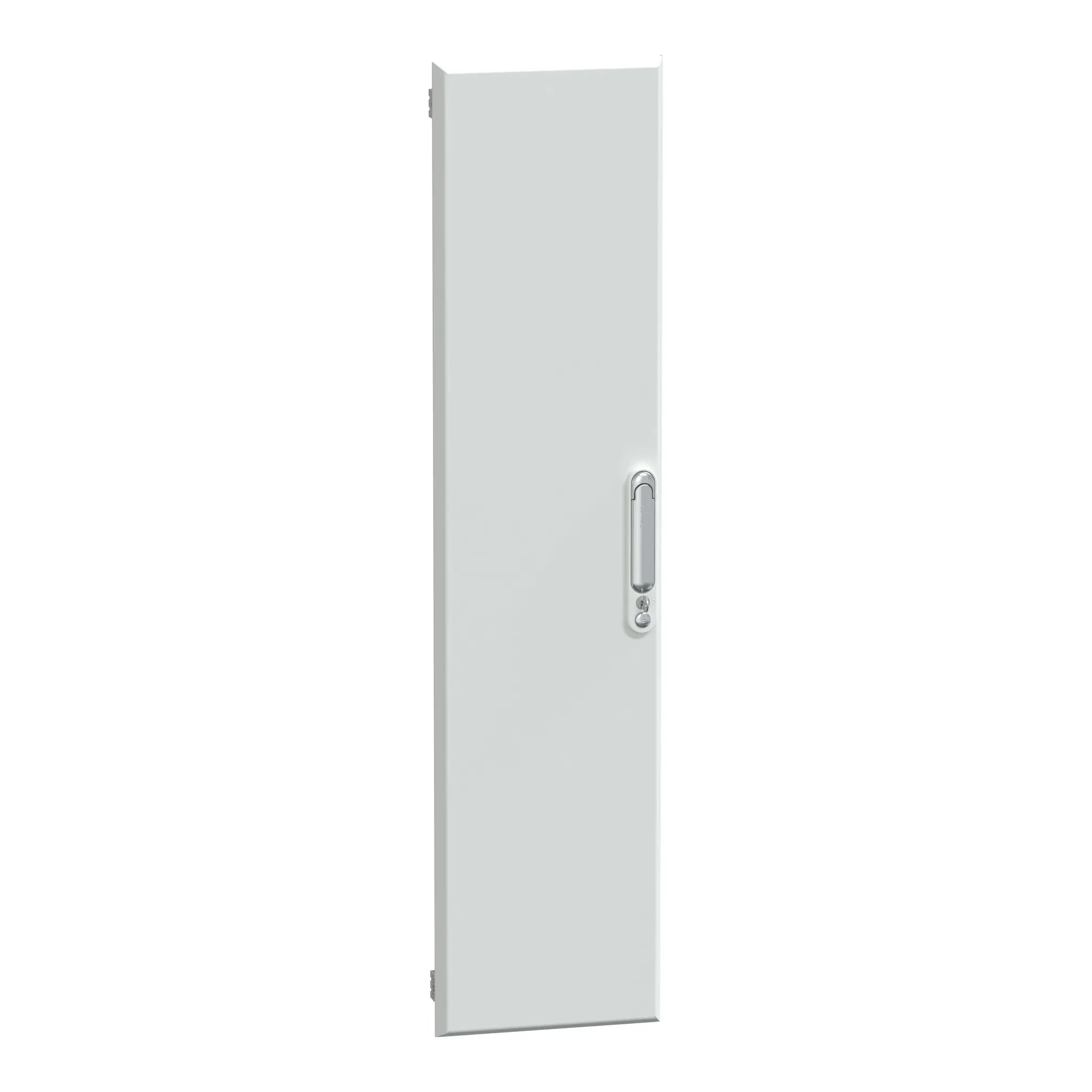 Schneider Electric Tür, 1230 x 300mm, für PrismaSeT PrismaSeT P Kabinenkanal PrismaSeT