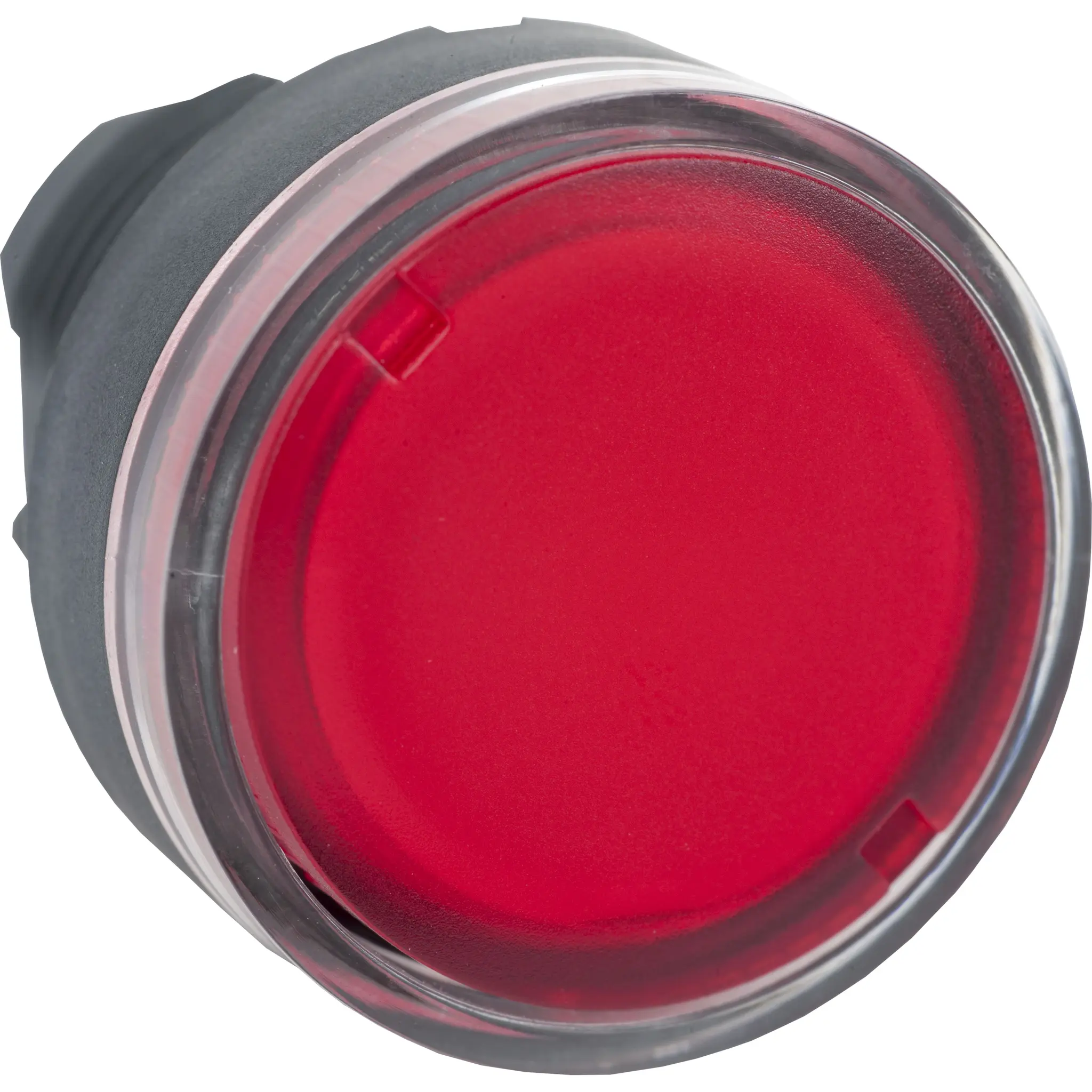 Produktfoto 1 von Schneider Electric Harmony Drucktastenkopf Ø 22 mm, Rot Tastend Rund Rund Kunststoff, IP66
