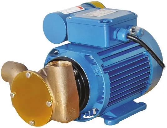Produktfoto 1 von Xylem Jabsco Zentrifugal Hydropumpen, 230 V, Elektrisch, 15m, bis 18l/min, max. 1,7 bar BSP3/4, BSP3/4, IP54