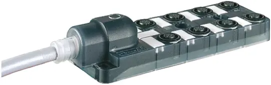 Produktfoto 1 von Murrelektronik Limited EXACT12 Sensor-Betätigungselementkabel 8 Anschlüsse, 5 m