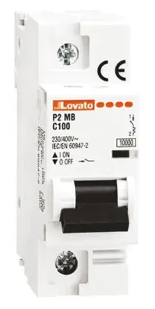 Produktfoto 1 von Lovato P2MB Miniaturüberlastschalter Typ C, Pol 1-polig 100A 230V ac, Abschaltvermögen 10 kA Modulo 60 V dc
