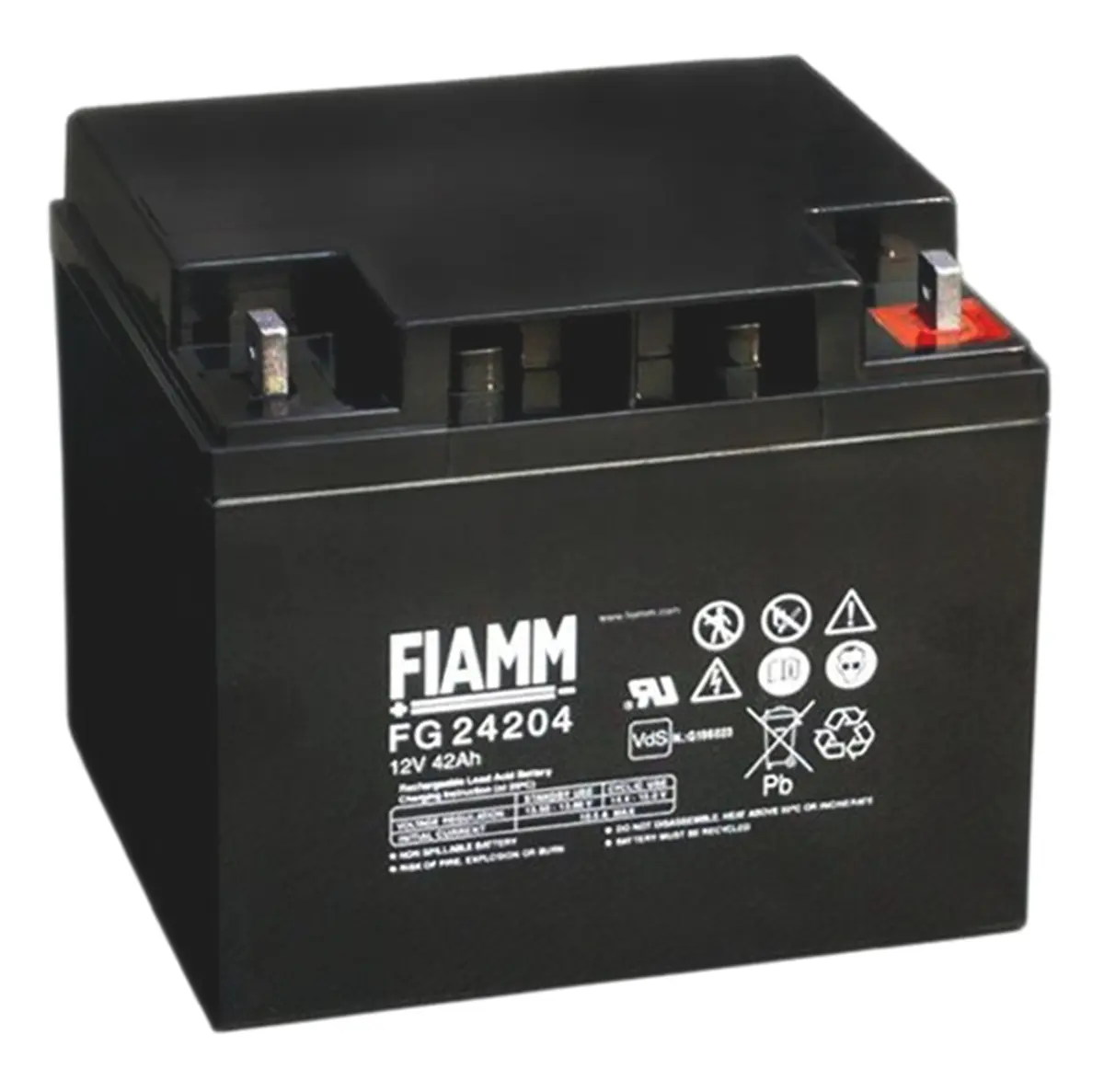 Produktfoto 1 von Fiamm Abgedichteter Bleiakku, 12V / 42Ah, M6-Anschluss, 197 x 165 x 170mm