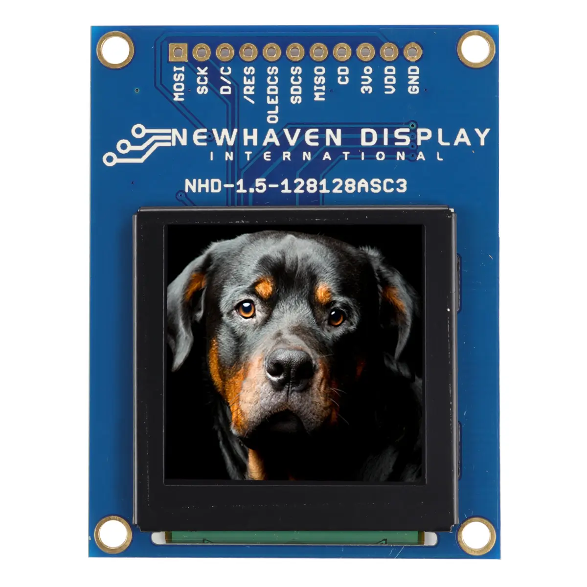 Produktfoto 1 von NEWHAVEN DISPLAY INTERNATIONAL 1.5 in OLED-Display 128 x 128 pixel, 28 x 28 mm / 1:1 TFT-Matrix Leiterplatte Parallel