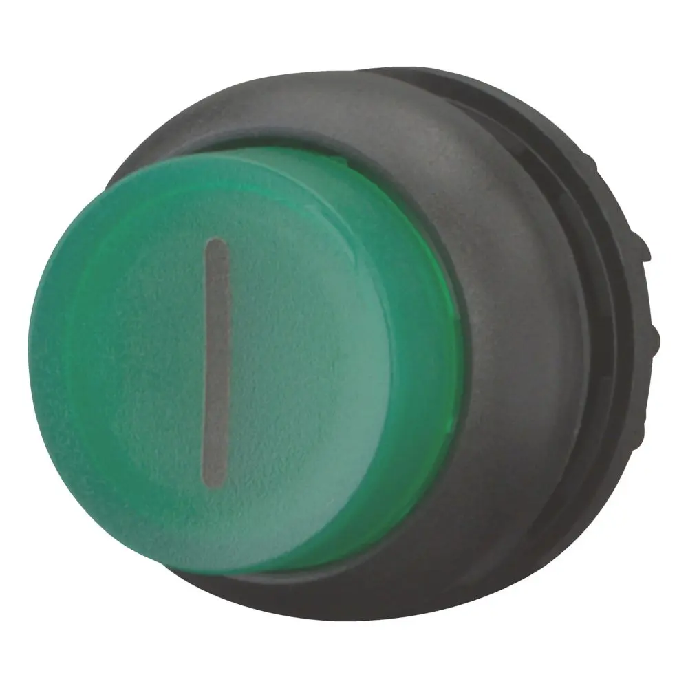 Produktfoto 1 von Eaton M22 Beleuchtete Drucktaste Grün Beleuchtet Schraubanschlussklemme Ø 22.5 mm, IP40, IP69K