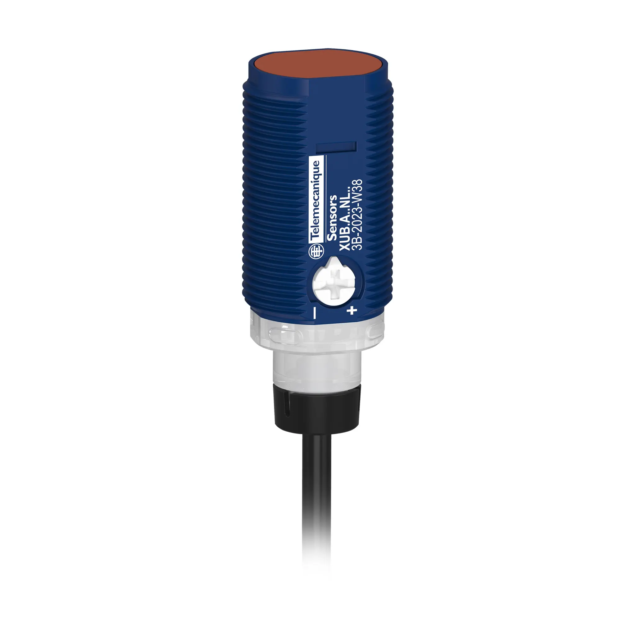 Produktfoto 1 von Telemecanique zylindrisch Optischer Sensor, Diffus, Bereich 0,6 m, Diskret Ausgang, Anschlusskabel
