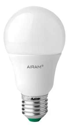 SEEREP A60 LED-Birne Glaskolben E27 Sockel Warmweiß Mattiert