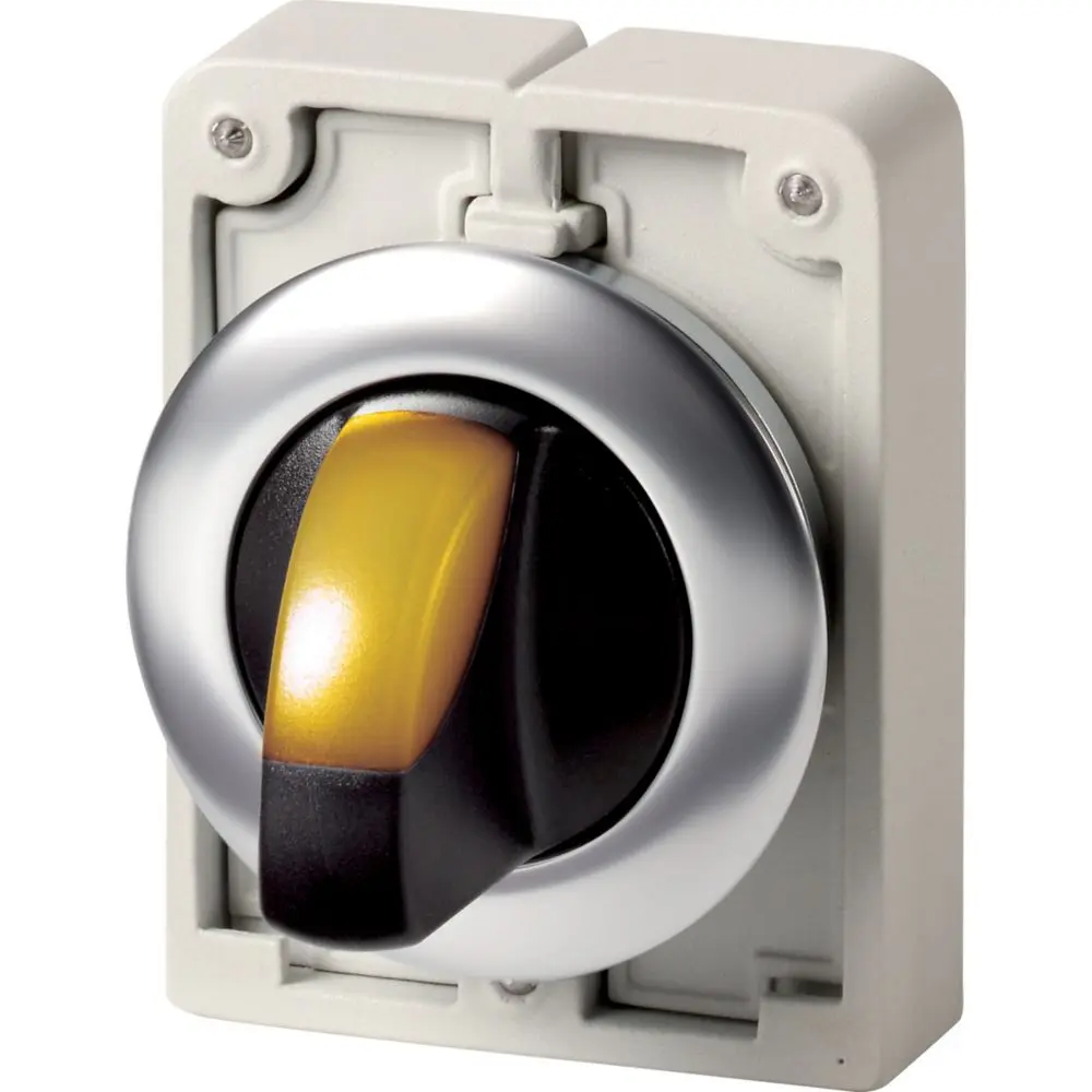 Eaton M30 Wahlschalter 2-Stufen Handkipphebel 30 mm Beleuchtet IP66 Wurfwinkel 60 °