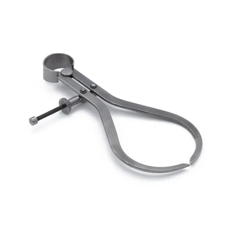 Moore & Wright 100 mm Außenmessschieber Metrisch Messschieber