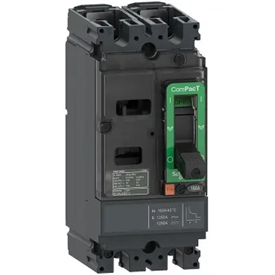 Produktfoto 1 von Schneider Electric ComPacT NSX ComPact Elektronischer Schutzschalter 690 V ac, 500V dc 2, 125A Feststehend 10 kA,