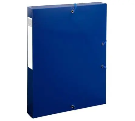 Produktfoto 1 von Exacompta Polypropylen Ordnerbox Marine A4+, 250mm x 40 mm x 330 mm
