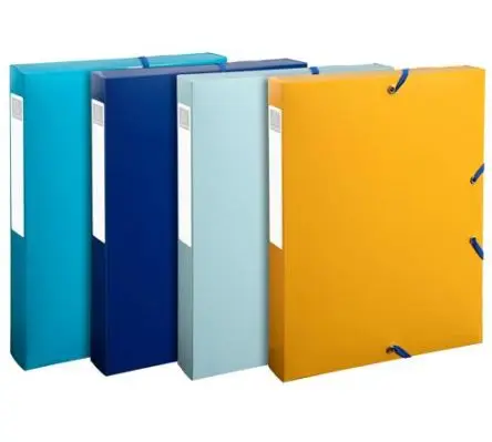 Produktfoto 1 von Exacompta Polypropylen Ordnerbox Verschiedene A4+, 250mm x 40 mm x 330 mm