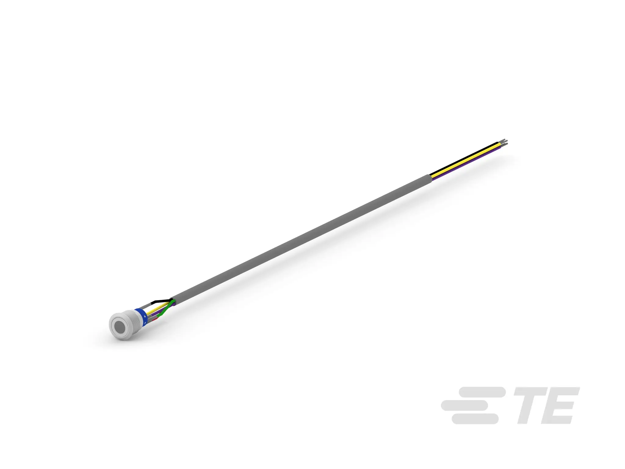Produktfoto 1 von TE Connectivity Alcoswitch AV19 Druckschalter Beleuchtet Push-Push Buchse, SPST / 3A 250 V ac, IP67