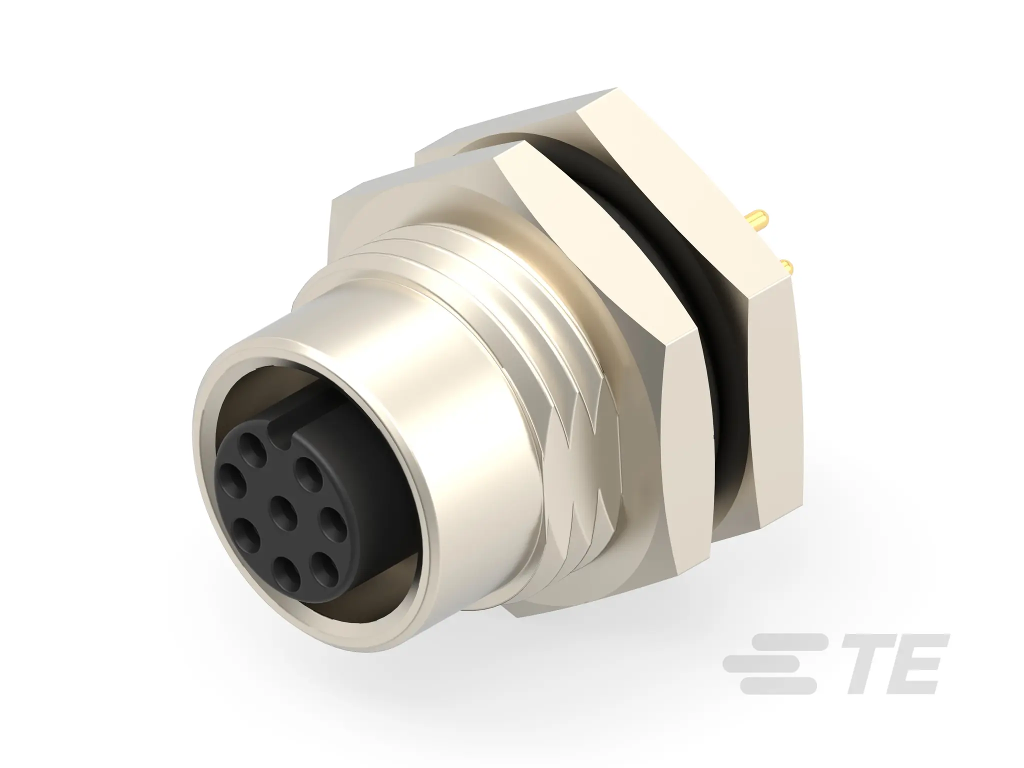 TE Connectivity M12 18 M12 Leistungssteckverbinder Buchse 8-polig Buchse 2A IP40