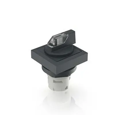 RAFI RAFIX 16 Wahlschalter 1-Stufen Wahlschalter 16.2 mm Beleuchtet IP65 Wurfwinkel 40 °