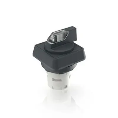 Produktfoto 1 von RAFI RAFIX 16 Wahlschalter 2-Stufen Wahlschalter 16.2 mm Beleuchtet IP65 Wurfwinkel 40 °