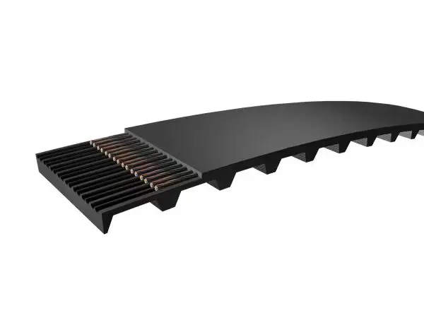 Produktfoto 1 von SKF Zahnriemen 50 Zähne, Teilung 9.525mm, Maße 19.05mm x 476.25mm