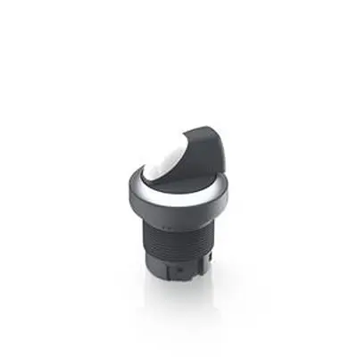 RAFI RAFIX 22 QR Wahlschalter 2-Stufen Wahlschalter 22.3 mm Beleuchtet IP65
