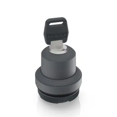 Produktfoto 1 von RAFI Schlüsselschalter Tastend 1-Positionen Rohrförmig IP 65