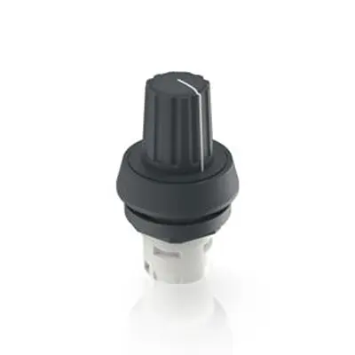 Produktfoto 1 von RAFI RAFIX Druckschalter-Schaltelement Anzeigenblock für RAFIX 16