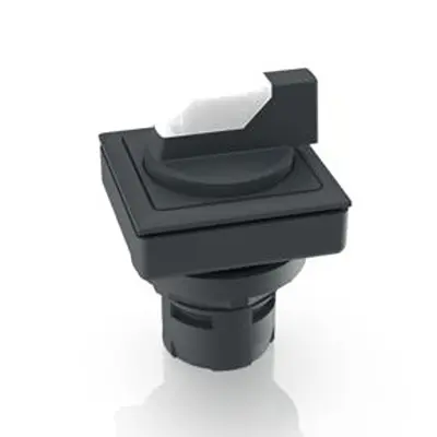 Produktfoto 1 von RAFI RAFIX 16 F Wahlschalter 2-Stufen Wahlschalter 23.1 mm Beleuchtet IP65 Wurfwinkel 60 °
