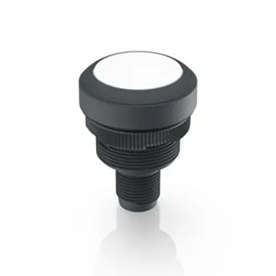 RAFI RAMO 22 T Beleuchtete Drucktaste Weiß Beleuchtet Tastend Durchsteckmontage Ø 22.3 mm, 1 Schließer / 100 mA 35 V dc
