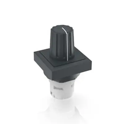 Produktfoto 1 von RAFI RAFIX Druckschalter-Schaltelement Anzeigenblock für RAFIX 16