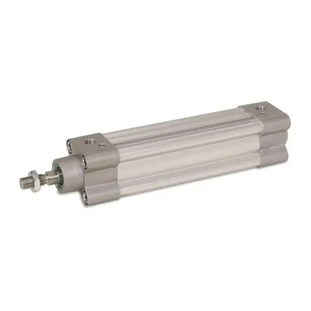 Parker 100 mm P1F Pneumatikzylinder Doppeltwirkend