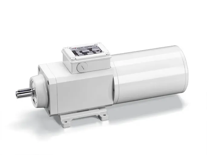 Mini Motor PAF4T2, 3 Spiralantenne 2-polig AC-Getriebemotor, 130 W 45 rpm 230/400 V Flanschmontage, Standfuß