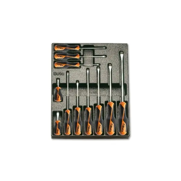 Produktfoto 1 von BETA Universeller Einsatz Werkzeugsatz, Thermogeformter Tray 11-teilig