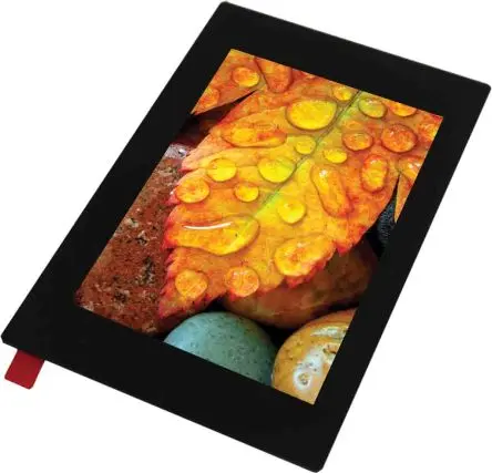 Produktfoto 1 von Display Visions TFT-LCD-Anzeige 88.9 mm Touchscreen, 320 x 480 pixel, 49 x 73.5 mm LED