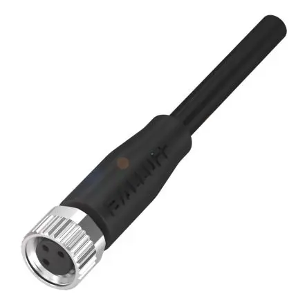 Produktfoto 1 von BALLUFF BCC02, 4-polig Sensor-Betätigungselementkabel, Gerade Buchse 4 / Nicht abgeschlossen Nicht abgeschlossen, Länge