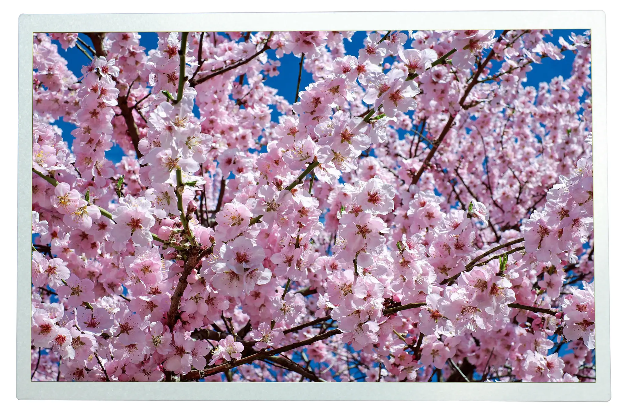 Produktfoto 1 von RS PRO TFT-LCD-Anzeige 12.1 in HDMI Touchscreen, 1280 x 800 pixel, 261.12 x 163.2 mm LED