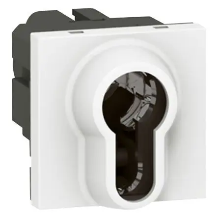 Produktfoto 1 von Legrand Schlüsselschalter 2-Positionen 10A Ronis IP41
