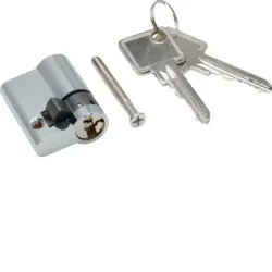 Produktfoto 1 von Hager Schließzylinder Metallisch 1242E für Schwenkhebel B. 31.5 mm H. 31.5 mm L. 44.5 mm
