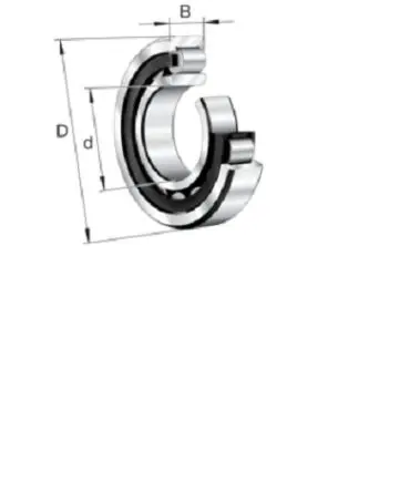 Produktfoto 1 von FAG Rollenlager 1-reihig / Außen-Ø 100 mm Außen-ø 118 N Verlängerte Produktlebensdauer, Spart Energie 117 N CN