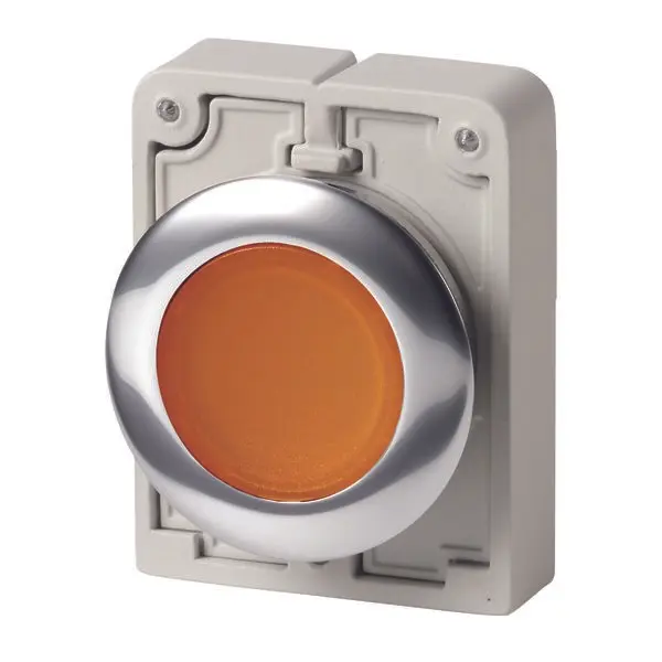Produktfoto 1 von Eaton RMQ-Titan Druckschalter Ø 30.5 mm, Orange Tastend Flach Metall, IP66