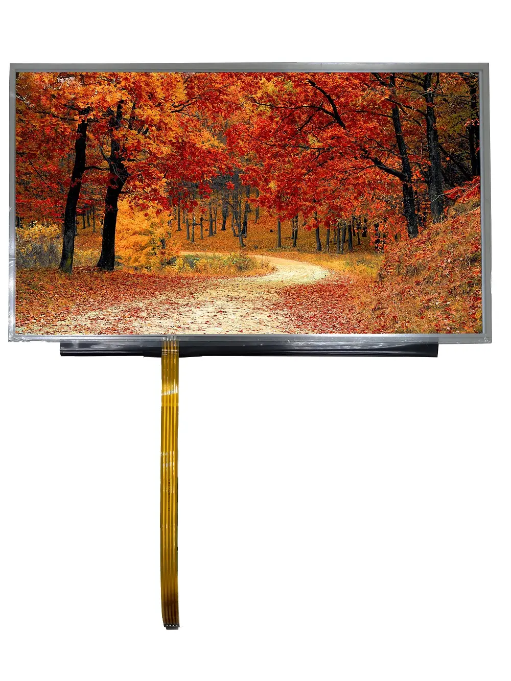 Produktfoto 1 von RS PRO TFT-LCD-Anzeige 15.6 in HDMI Touchscreen Ohmsch, 1920 x 1080 pixel, 360 x 212.3 x 23.56 mm LCD
