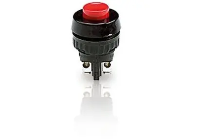 Produktfoto 1 von RAFI 1.1 Druckschalter Tastend Panel Ø 15.2 mm, SPST / 700mA, IP40, IP65