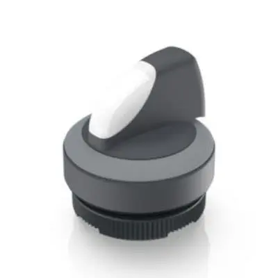 Produktfoto 1 von RAFI 1.30.272.001/2208 Wahlschalter 1-Stufen Knopf 29.8 mm Beleuchtet IP65
