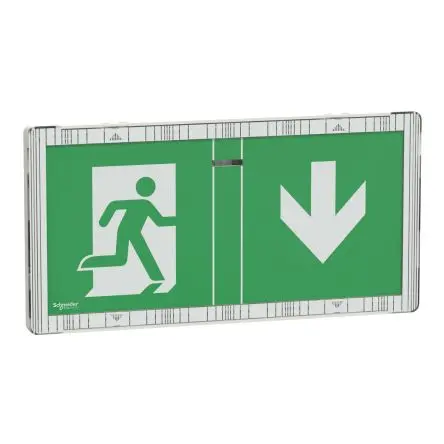 Produktfoto 1 von Schneider Electric LED Notbeleuchtung Oberfläche, 230V / 2.1 VA 45 lm, 122mm x 45 mm, IP65