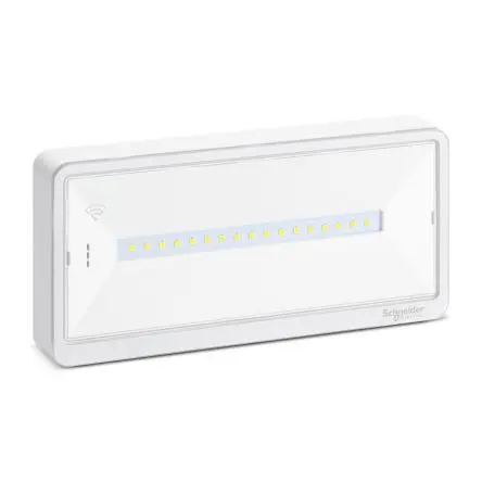 Schneider Electric LED Notleuchte Oberfläche 520 mW 650 lm, 229mm x 112 mm x 32 mm, IP42